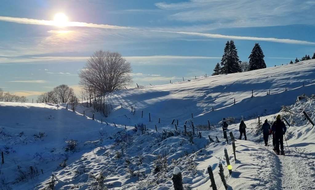 La neige sur les&nbsp;plateaux